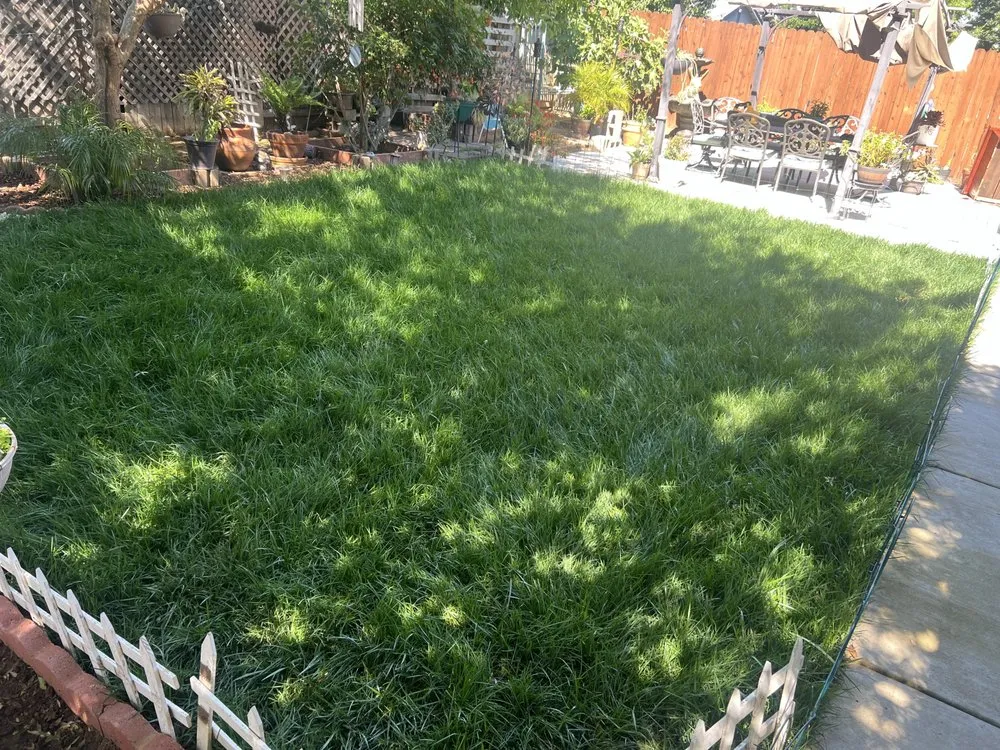 Trusted landscaping services near you across Sacramento, CA - Earthworks Landscaping