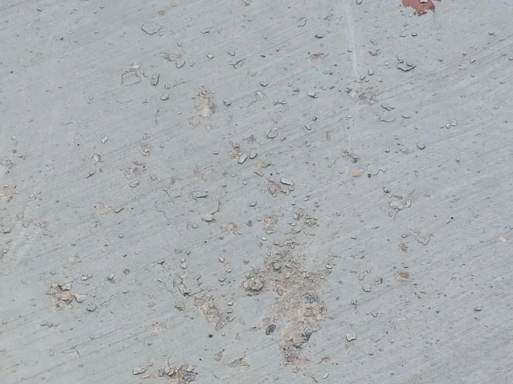 Reliable yard cleanup service in Syracuse, UT - Earthworks Landscaping Services