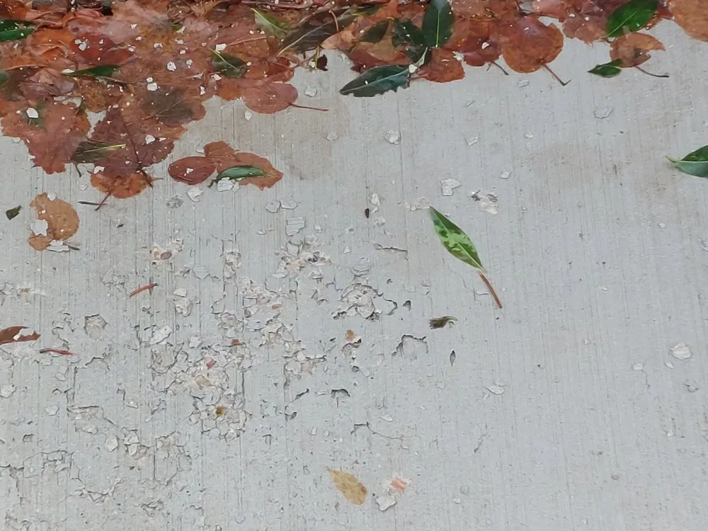 Custom yard cleanup service in Syracuse, UT - Earthworks Landscaping Services