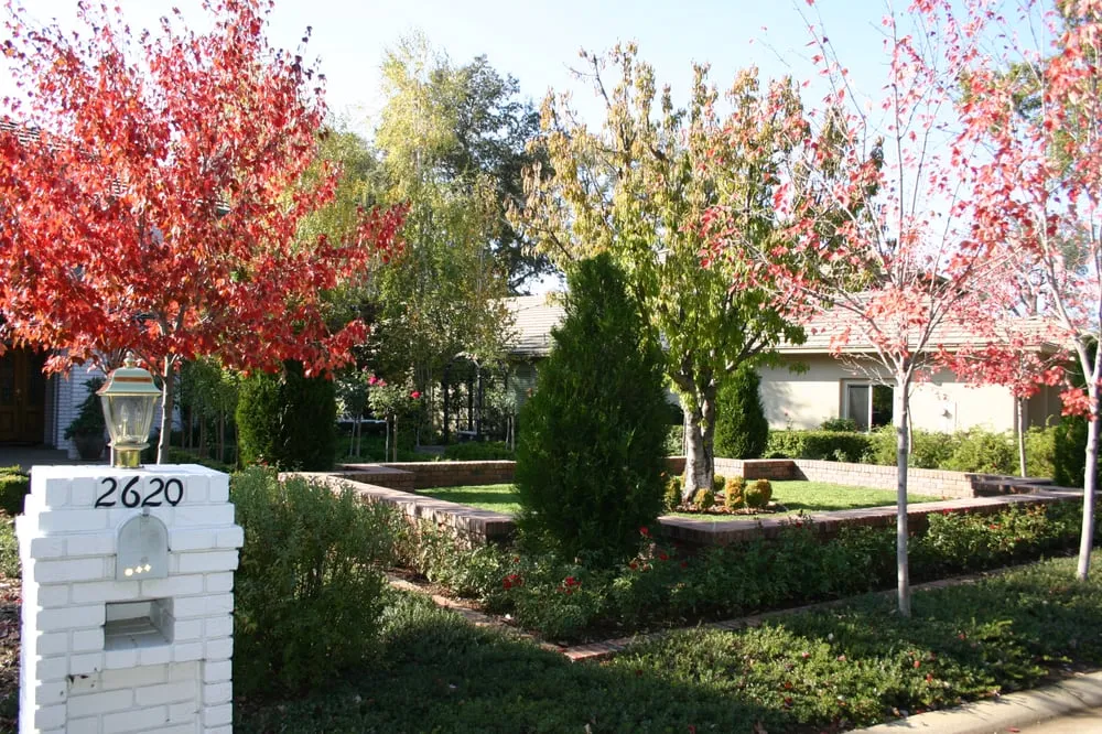 Trusted outdoor landscaping experts serving Somerset, CA - Earthworks Landscaping