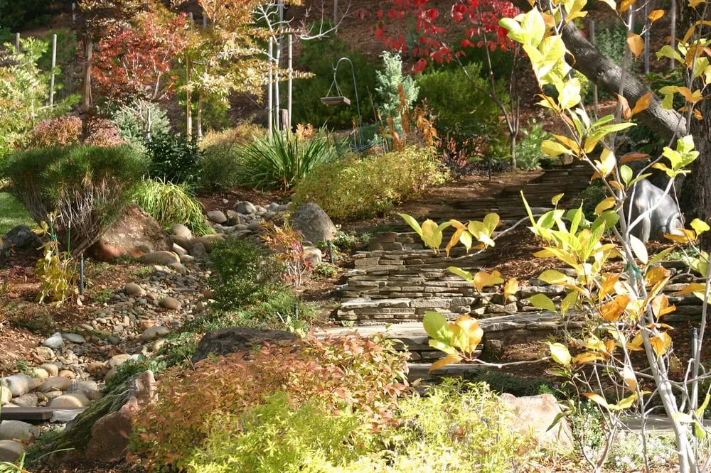 Top-rated landscape design in Somerset, CA by Earthworks Landscaping