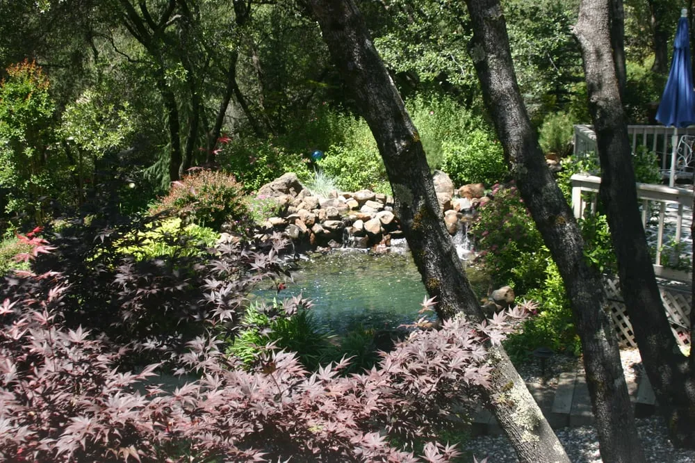 Top-rated yard cleanup service experts serving Somerset, CA - Earthworks Landscaping