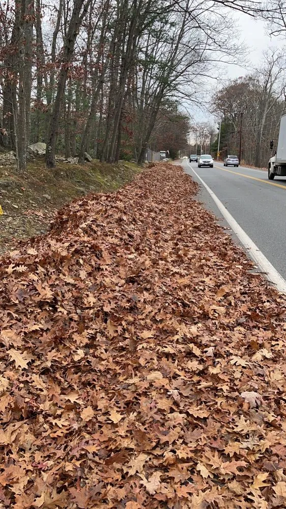 Custom garden landscaping in Wakefield, MA - Earthworks Landscaping