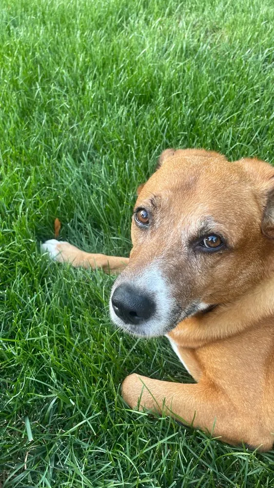 Top-rated landscape design for beautiful yards in Wakefield, MA by Earthworks Landscaping