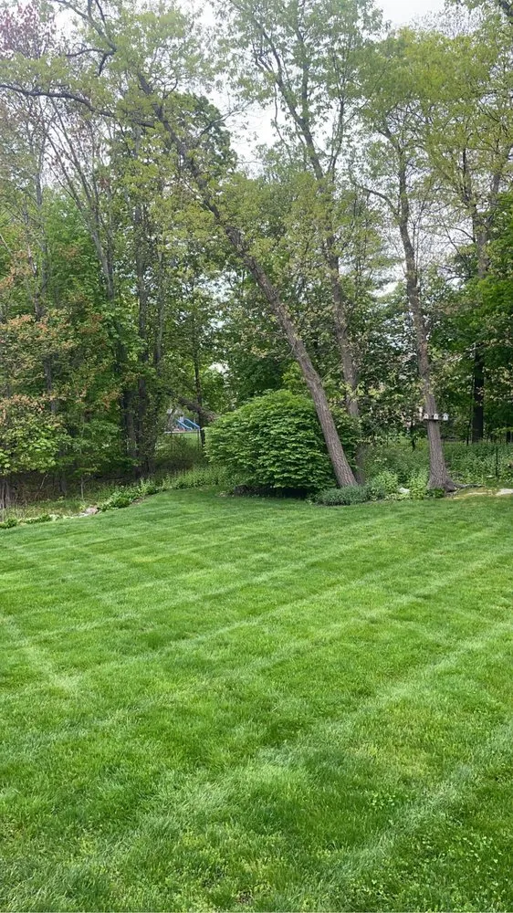 Top-rated outdoor landscaping for beautiful yards in Wakefield, MA by Earthworks Landscaping