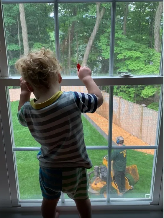 Professional yard cleanup service for residential properties in Wakefield, MA by Earthworks Landscaping