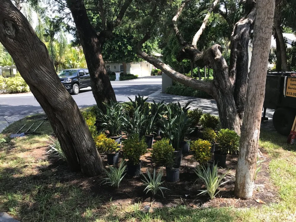Local landscape installation with custom design across Ruskin, FL - Earthworks Lansdcape Services