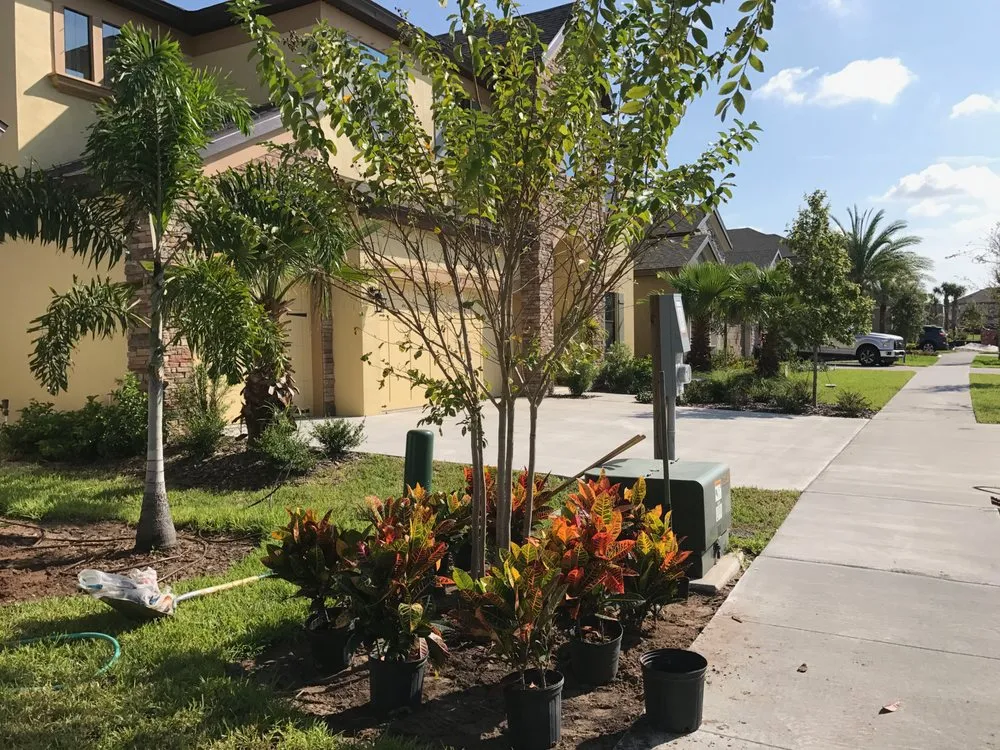 Custom outdoor landscaping with custom design in Ruskin, FL by Earthworks Lansdcape Services