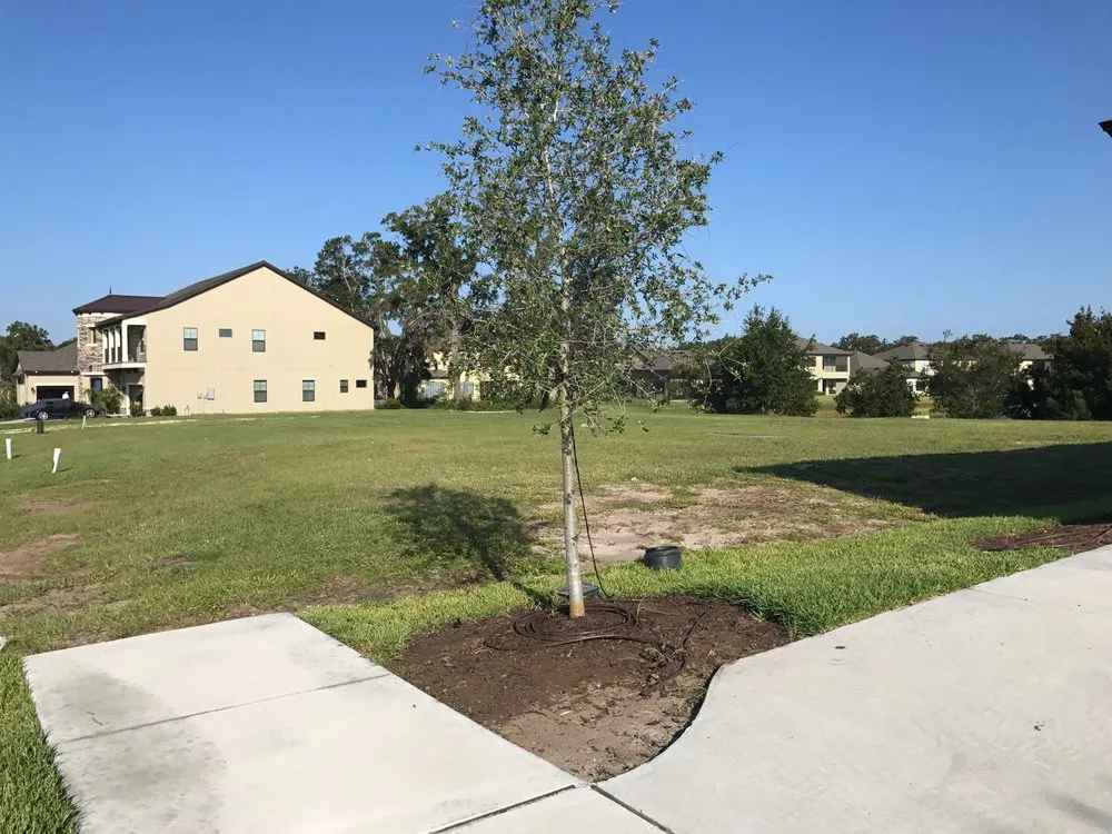 Expert lawn mowing service for homes in Ruskin, FL by Earthworks Lansdcape Services