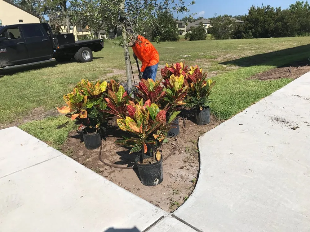 Custom landscaping services experts serving Ruskin, FL - Earthworks Lansdcape Services