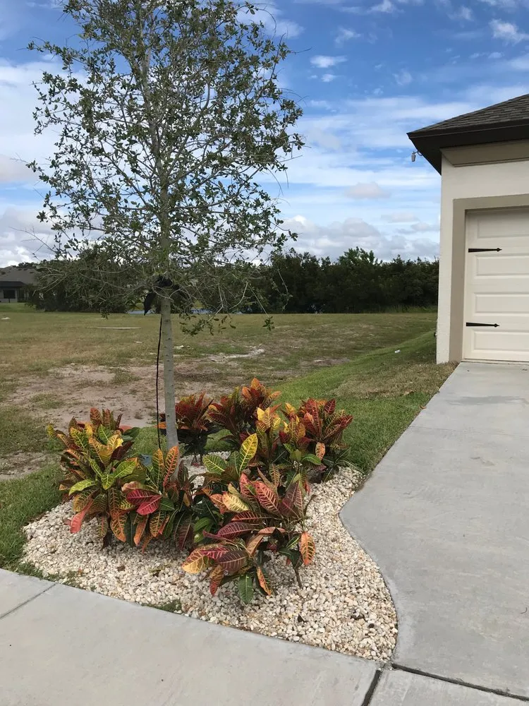 Top-rated landscape installation experts serving Ruskin, FL - Earthworks Lansdcape Services