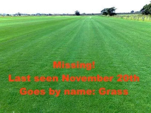 Expert landscape installation in Canton, MI - Earthworks Outdoor Care