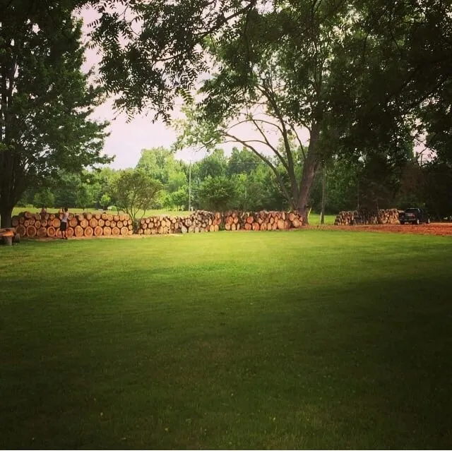 Expert lawn mowing service experts serving Canton, MI - Earthworks Outdoor Care