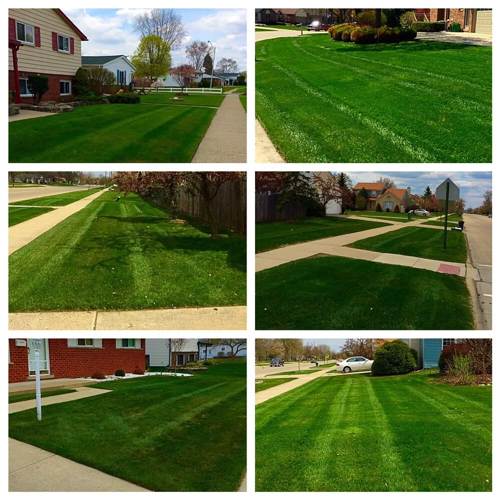 Local yard maintenance near you in Canton, MI by Earthworks Outdoor Care