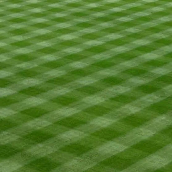 Custom yard maintenance for homes across Canton, MI - Earthworks Outdoor Care