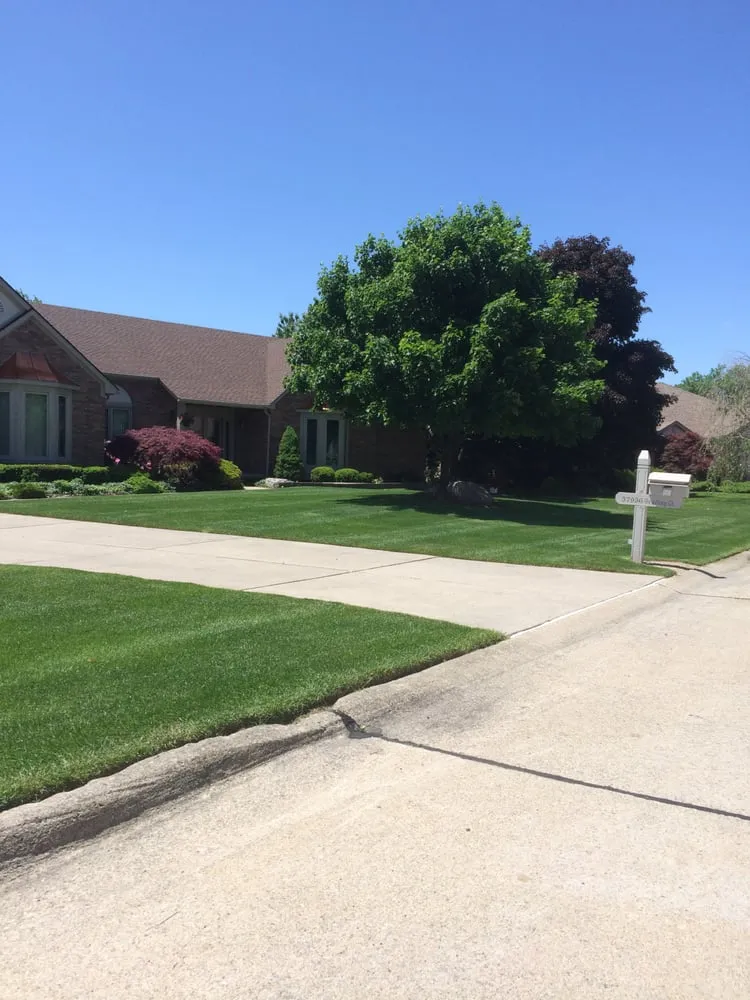 Top-rated yard cleanup service in Canton, MI - Earthworks Outdoor Care