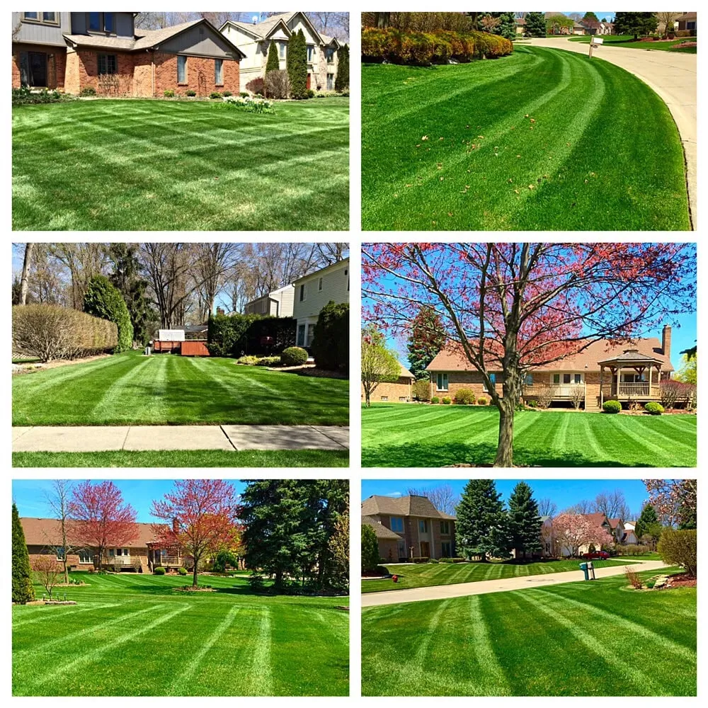 Professional outdoor landscaping in Canton, MI - Earthworks Outdoor Care