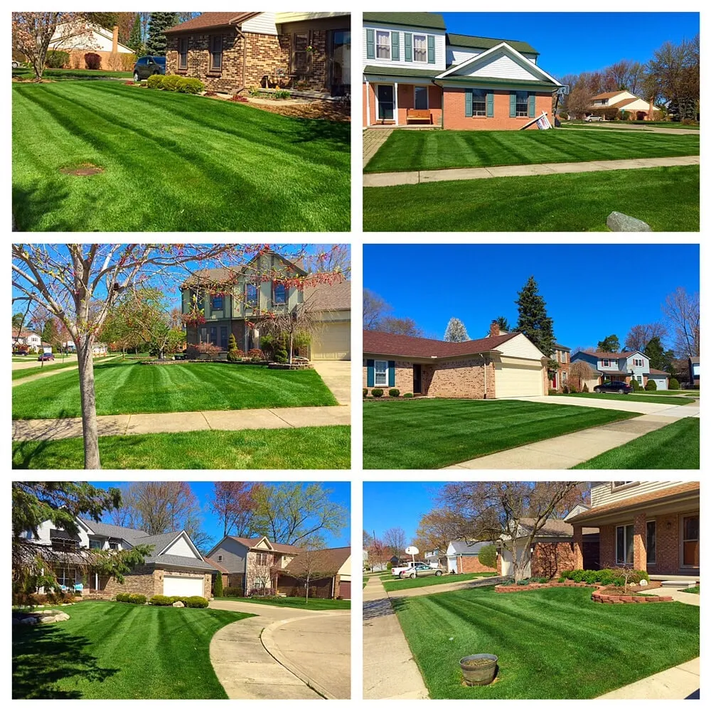 Professional garden landscaping in Canton, MI - Earthworks Outdoor Care