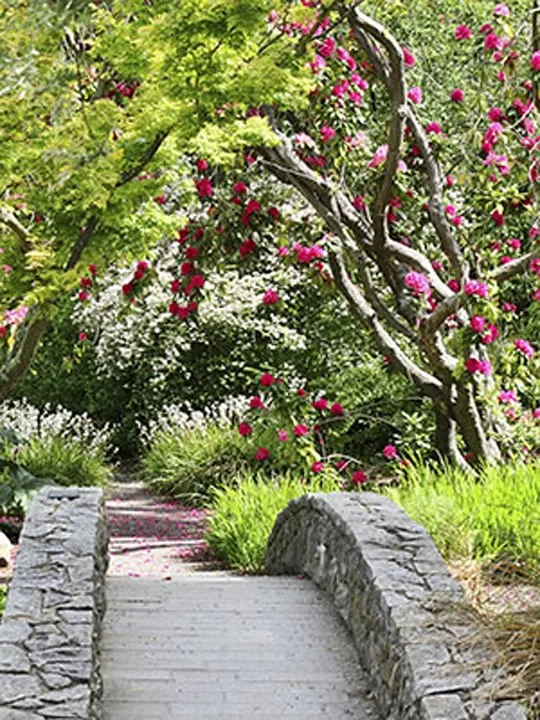 Top-rated lawn care service for beautiful yards across Fishers, IN - Earthworks Outdoor