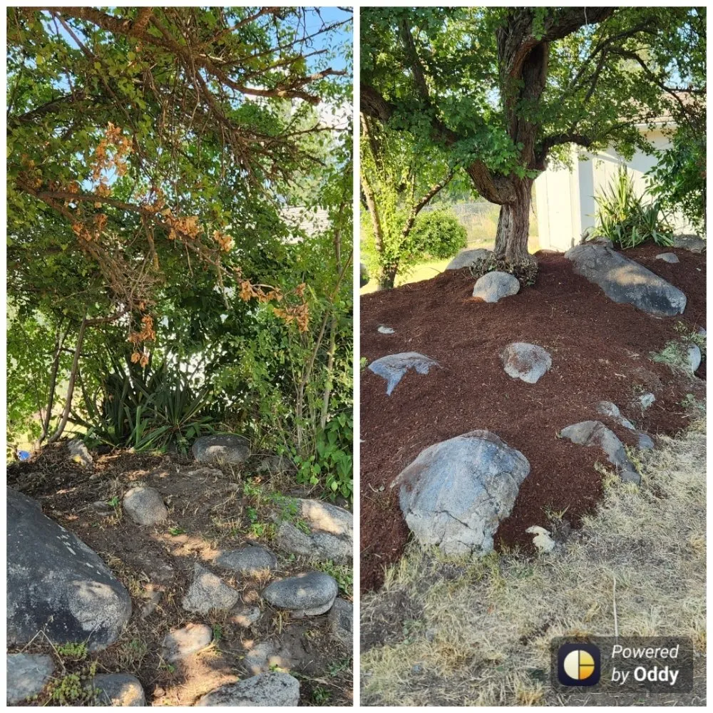 Top-rated lawn care service in Spokane, WA - Earthworm Lawn Care