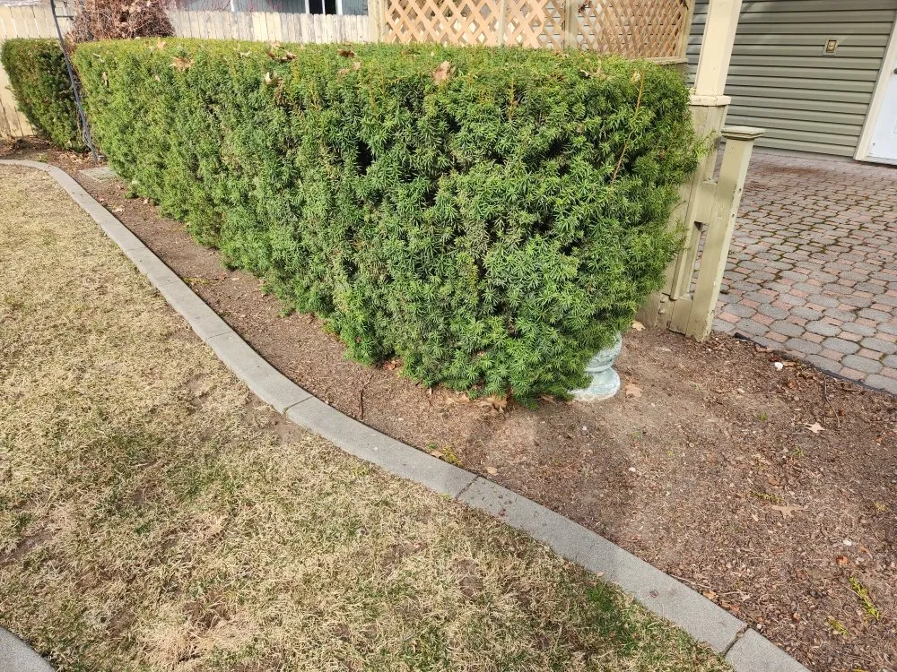 Reliable lawn care service for year-round maintenance in Spokane, WA by Earthworm Lawn Care