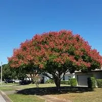 Professional outdoor landscaping in Daytona Beach, FL by Earthworms Lawn Landscape And Pest Control