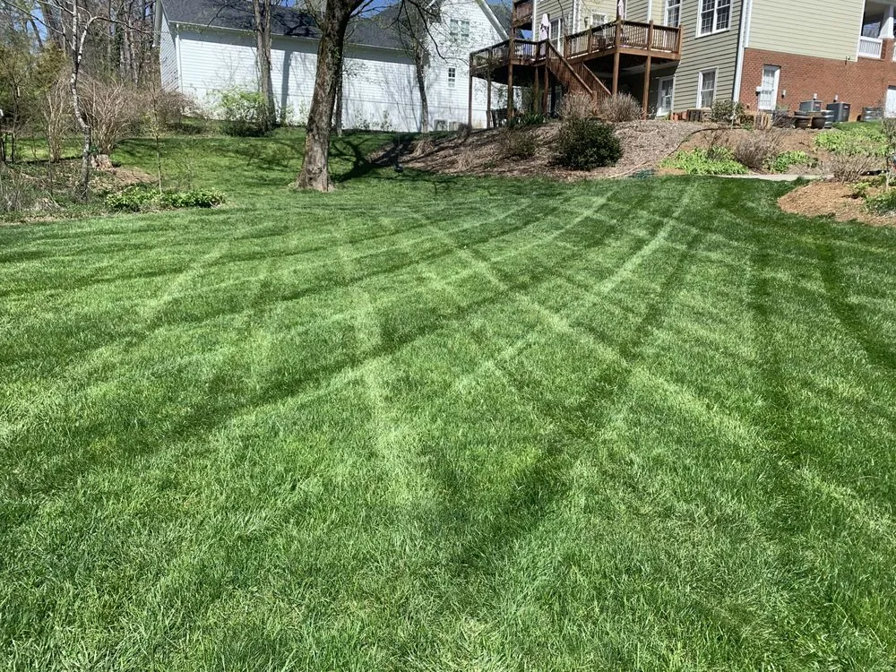 Expert outdoor landscaping for homes in Signal Mountain, TN by EarthworX Lawn & Land