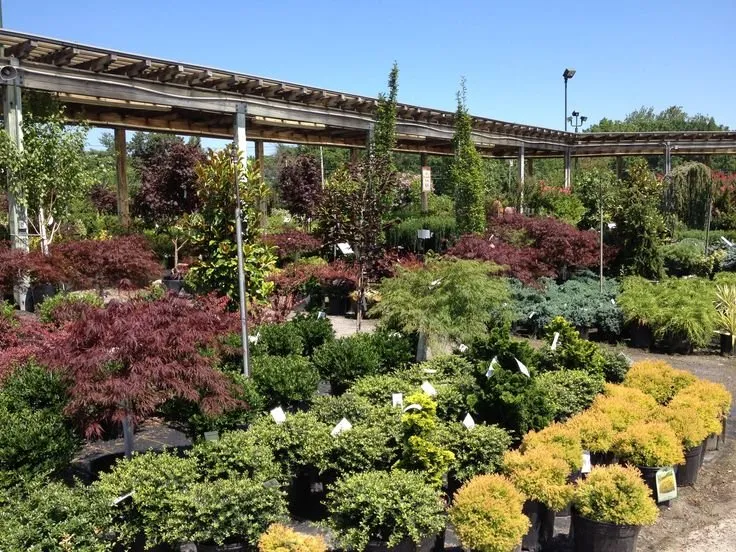 Top-rated residential landscaping for beautiful yards across Signal Mountain, TN - EarthworX Lawn & Land