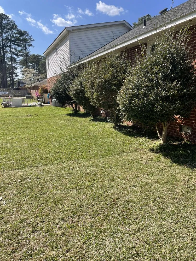 Reliable lawn mowing service in Selma, NC - Earthy & Rooted