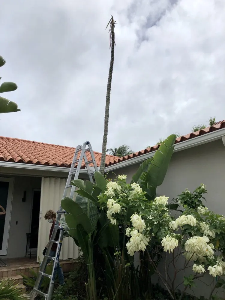 Trusted landscape design experts serving Miami, FL - Ease Advantage