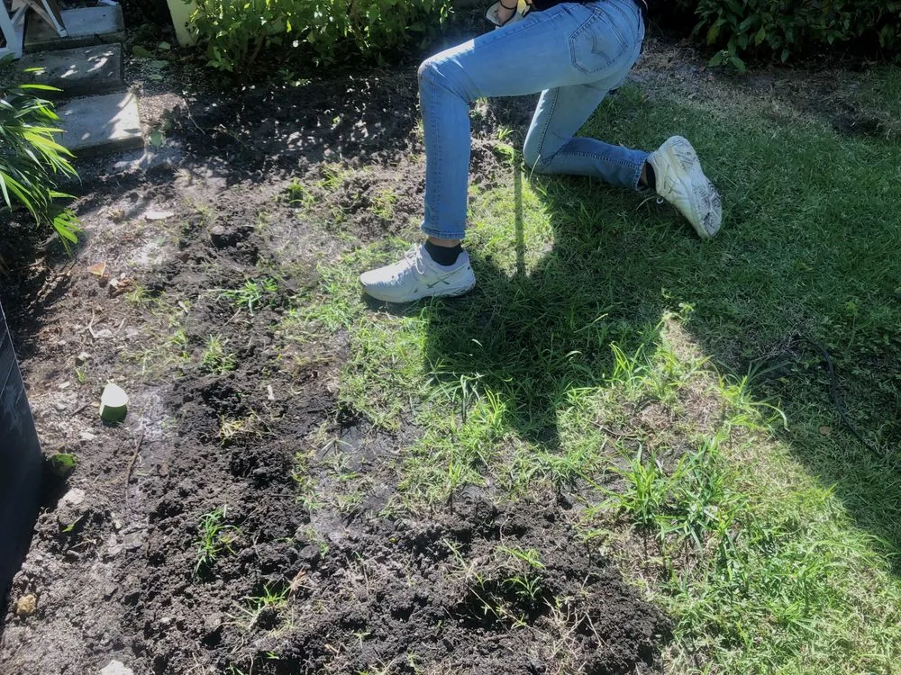 Professional landscape design in Miami, FL by Ease Advantage