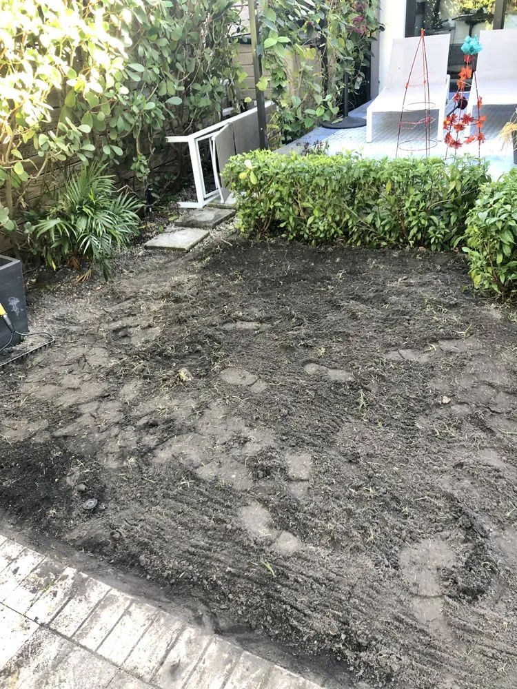 Reliable landscaping services in Miami, FL - Ease Advantage