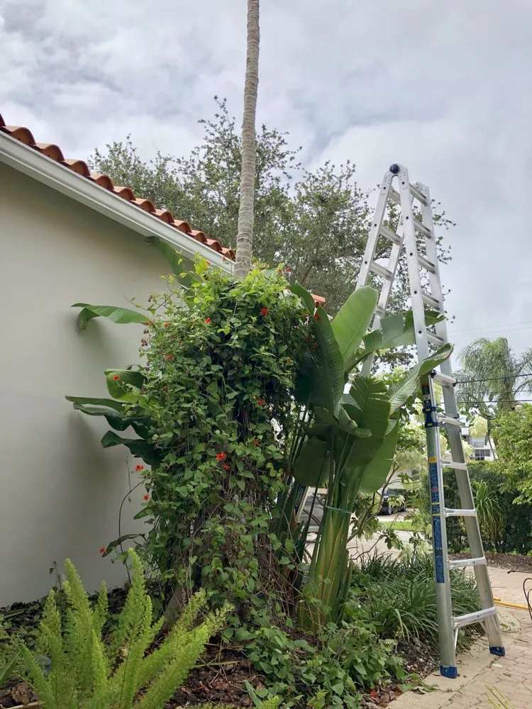 Affordable yard maintenance for year-round maintenance in Miami, FL by Ease Advantage