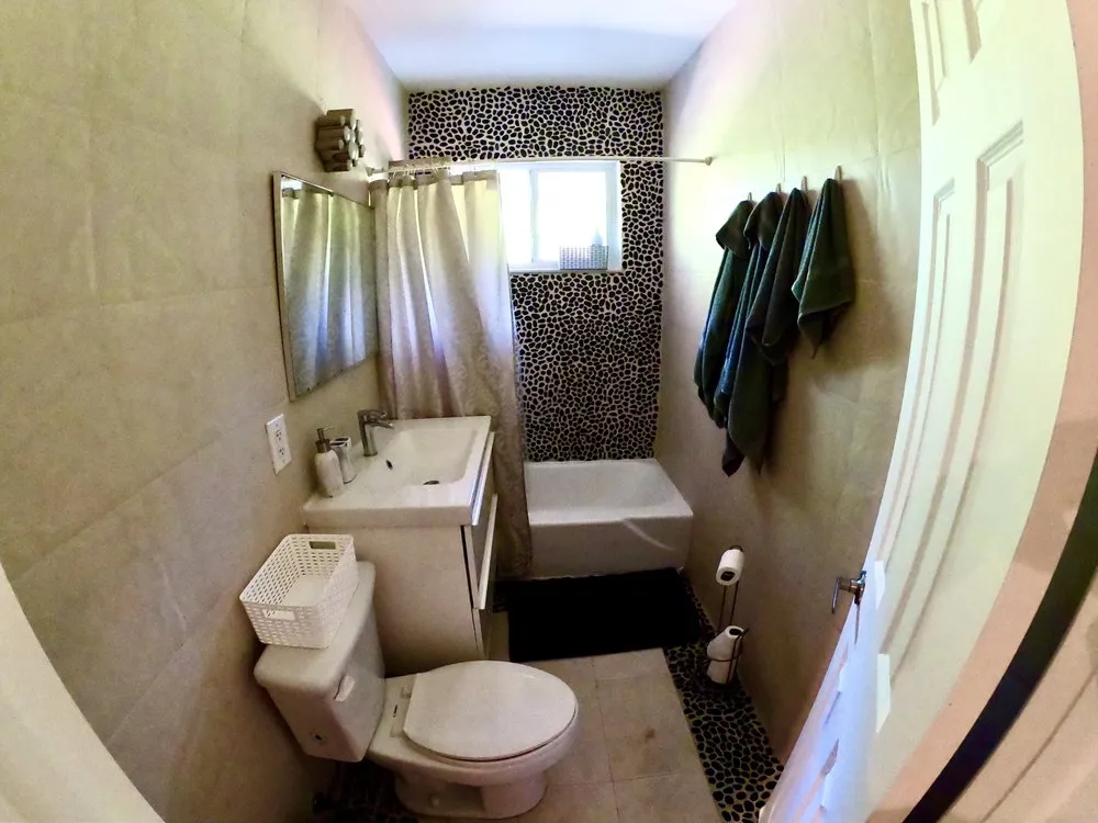 Top-rated landscape installation experts serving Miami, FL - Ease Advantage