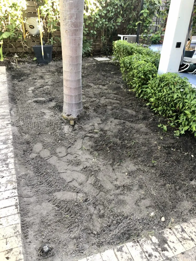 Local residential landscaping experts serving Miami, FL - Ease Advantage