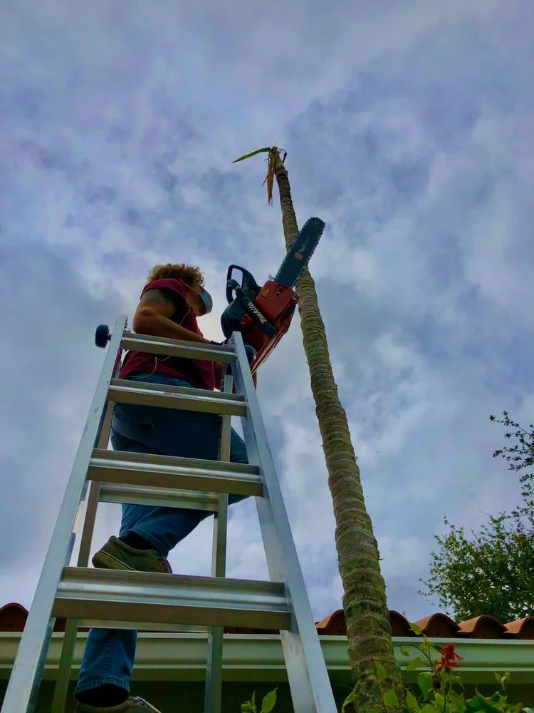 Custom yard cleanup service in Miami, FL - Ease Advantage