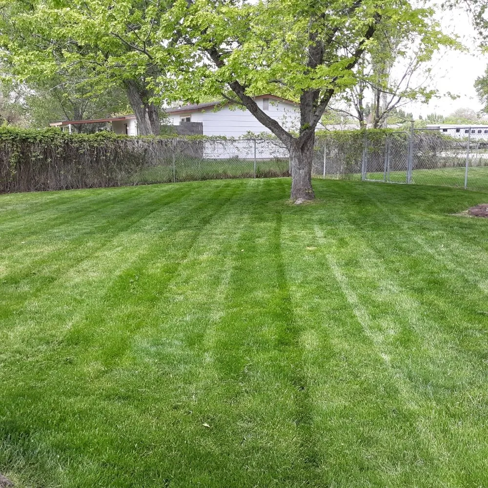 Professional yard maintenance for homes in Meridian, ID by Ease Services