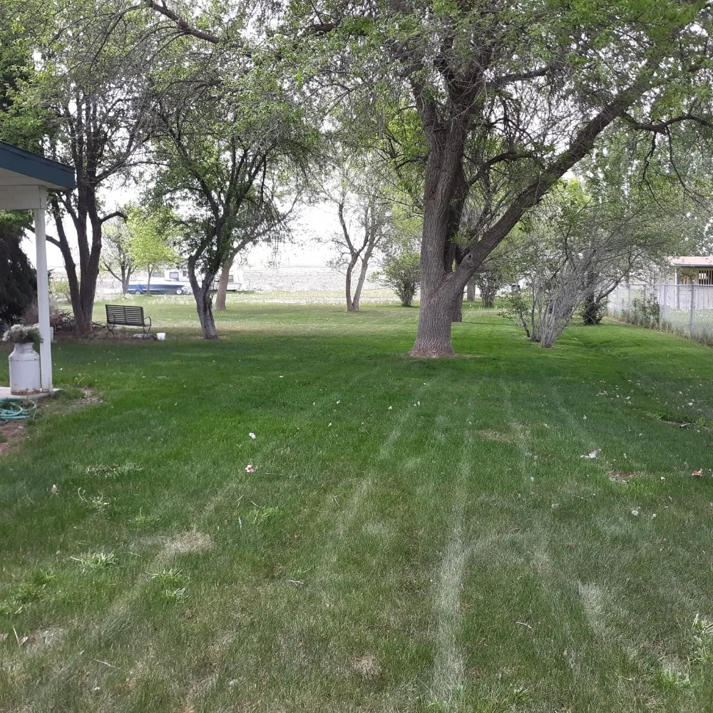 Professional outdoor landscaping in Meridian, ID - Ease Services