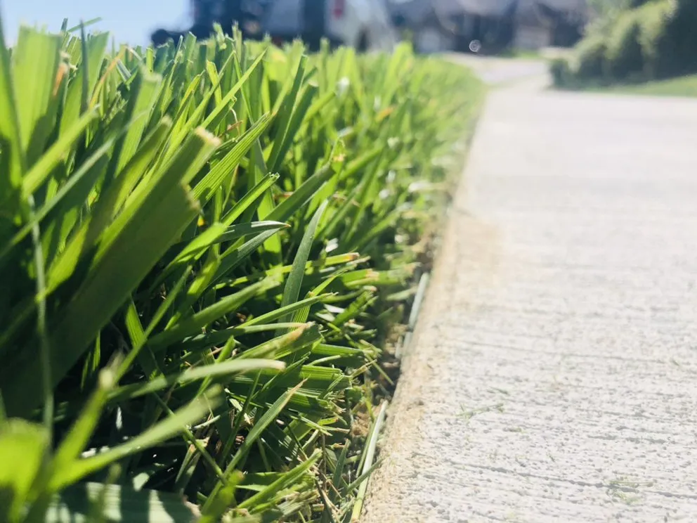 Local yard cleanup service in South Pekin, IL by Easier Grounds Management