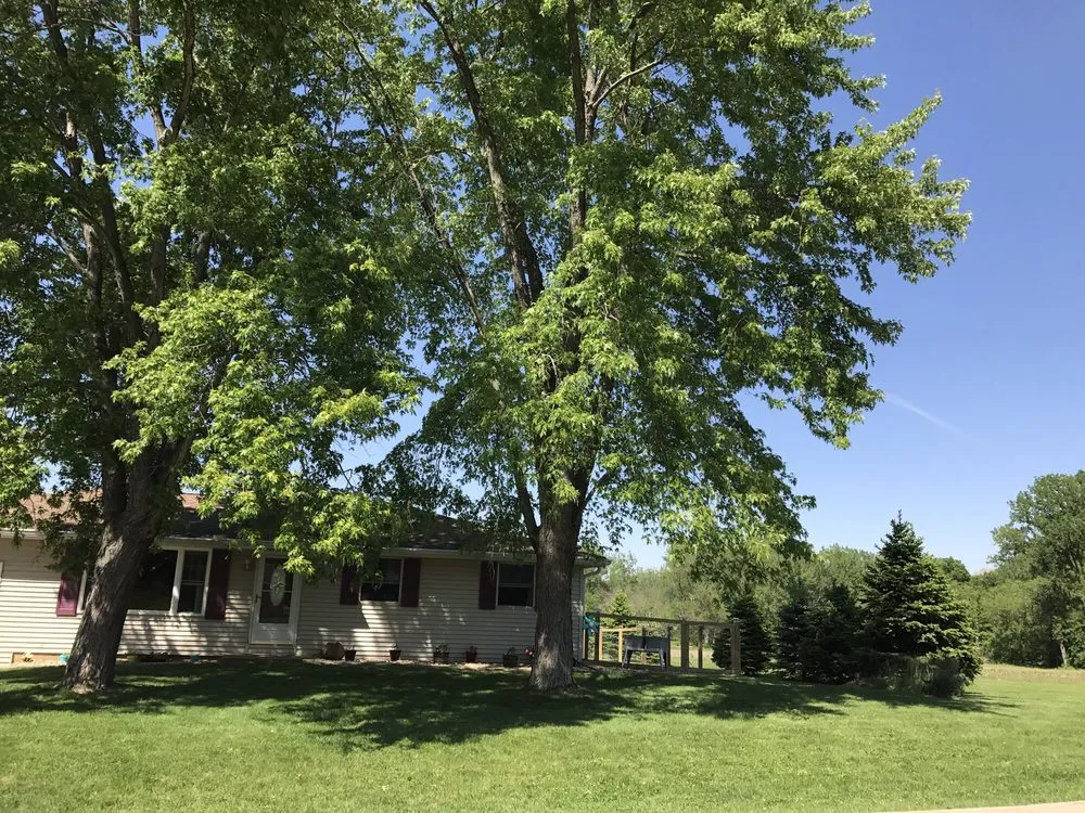 Reliable yard cleanup service in South Pekin, IL - Easier Grounds Management