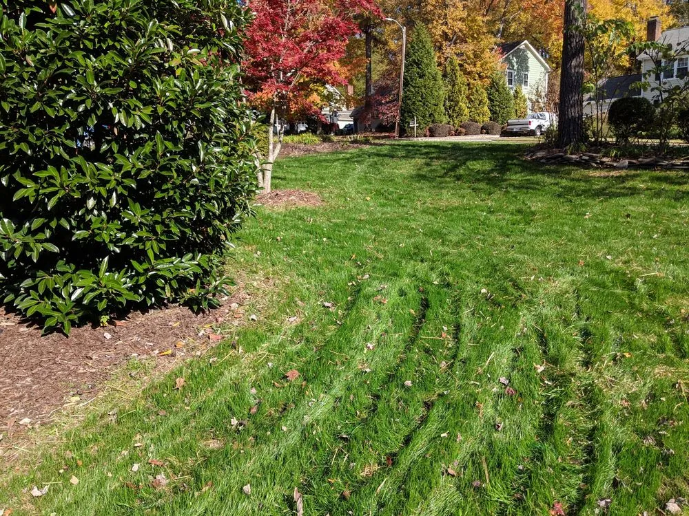 Professional outdoor landscaping in Cary, NC by Easley Does It Lawnscapes