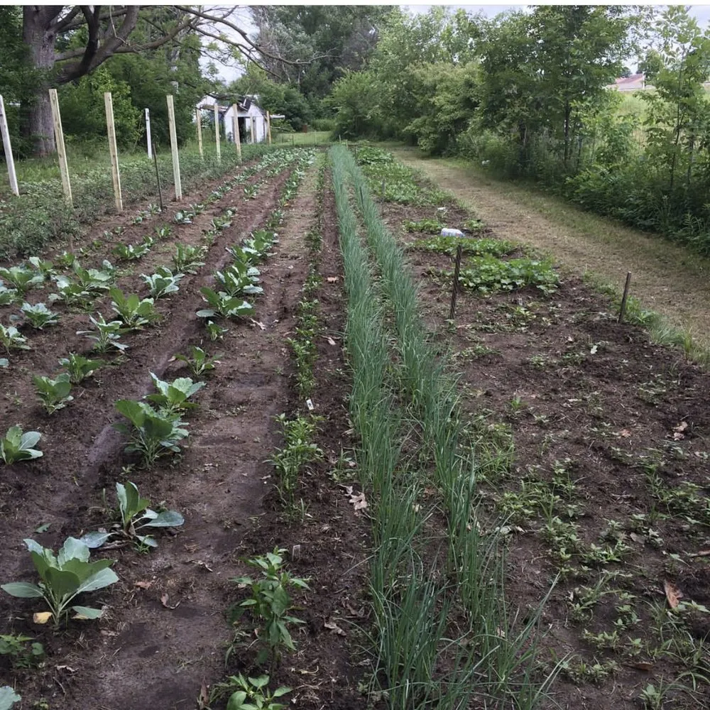 Expert outdoor landscaping in Indianapolis, IN - Easley’s Lawn & Gardening