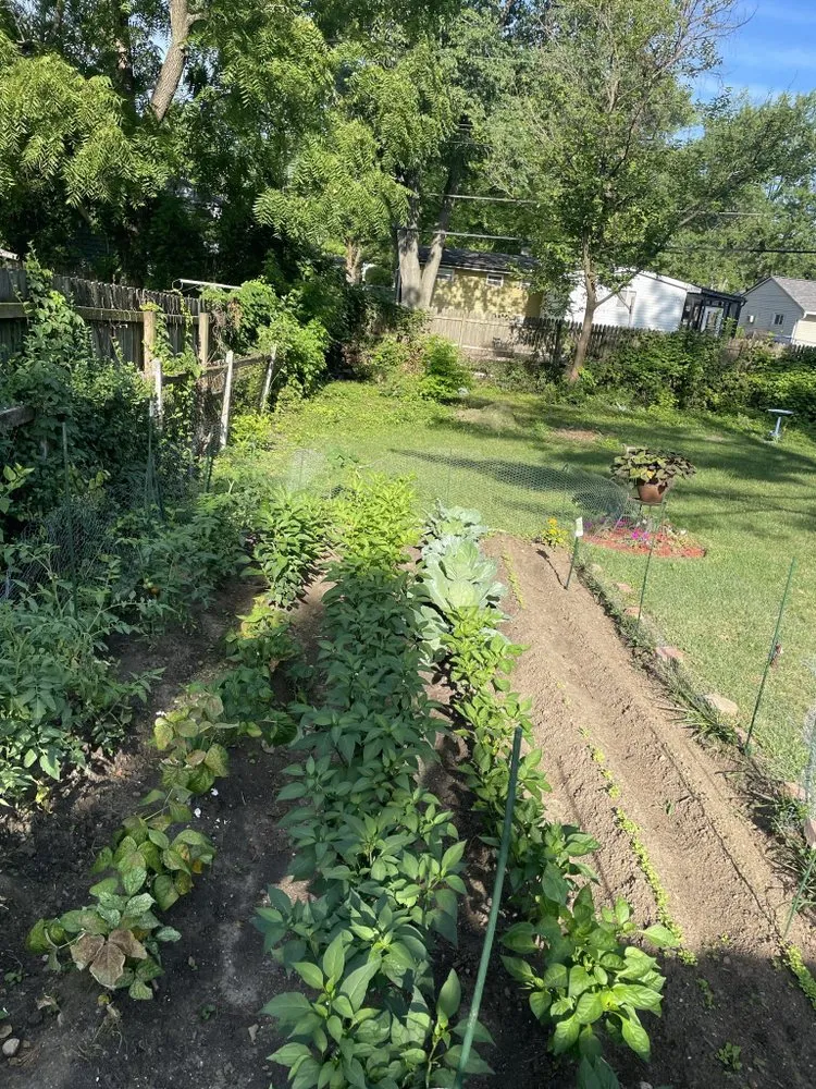 Top-rated residential landscaping for year-round maintenance in Indianapolis, IN by Easley’s Lawn & Gardening