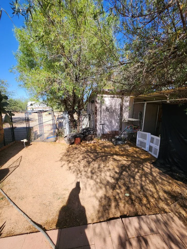 Top-rated garden landscaping in Chandler, AZ by East Agave Landscaping