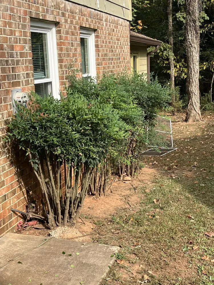 Local yard cleanup service for beautiful yards in Stone Mountain, GA by East Atlanta Lawn Service