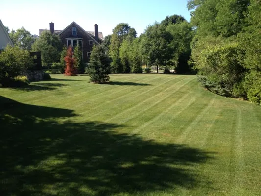 East Avenue Landscaping Logo