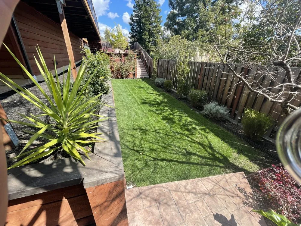 Local lawn mowing service in Bay Point, CA - East Bay Gardening