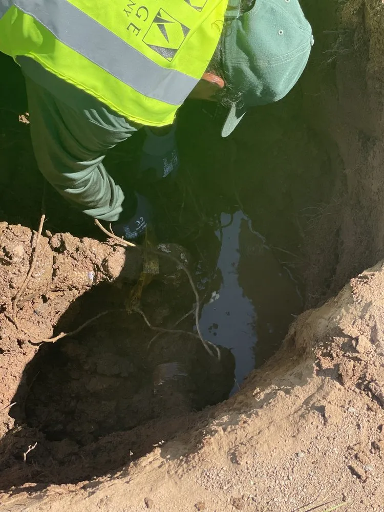 Trusted yard cleanup service near you in Bay Point, CA by East Bay Gardening