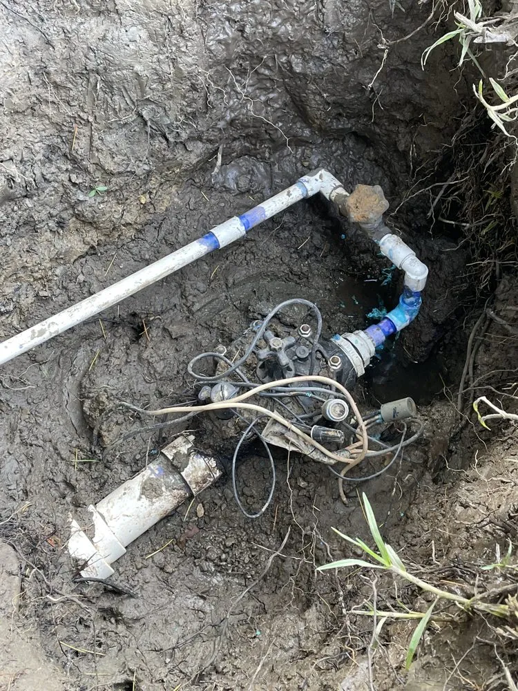 Reliable yard cleanup service in Bay Point, CA by East Bay Gardening