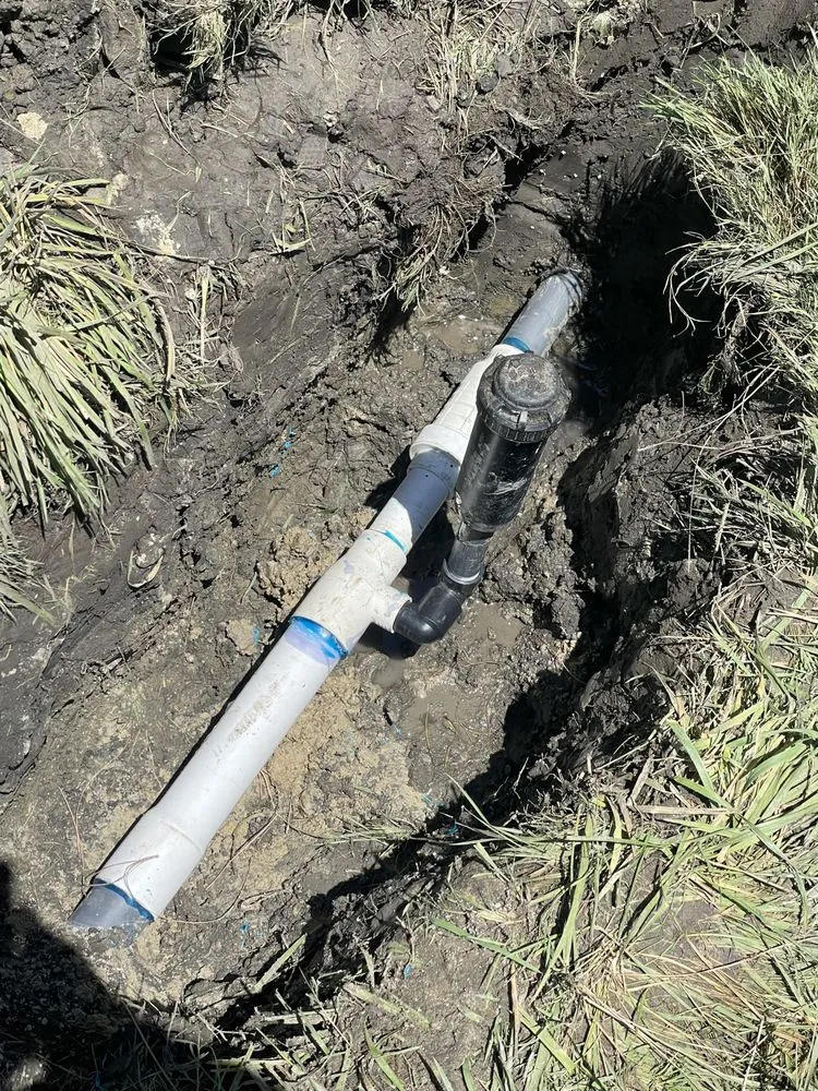 Reliable outdoor landscaping in Bay Point, CA - East Bay Gardening